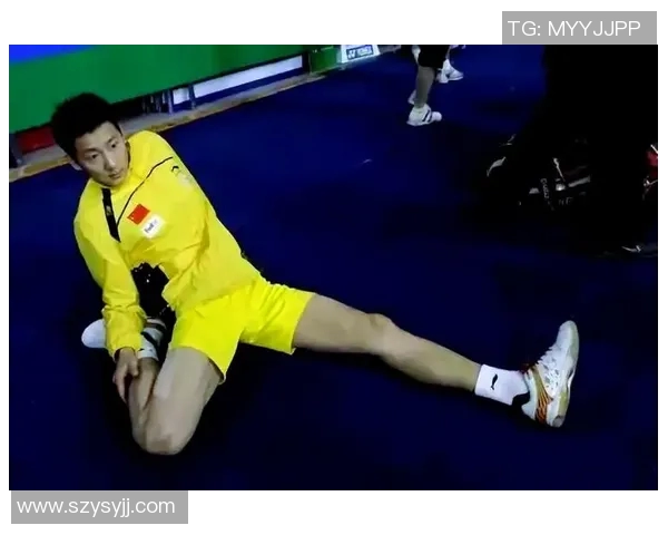 羽毛球盛宴：深入解析上海羽毛球队的默契配合与战术策略